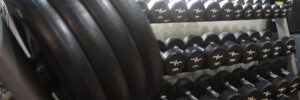 Flex fitness inc – Srinivasnagar