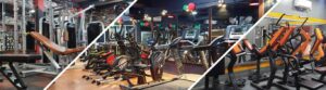 FitNet Muscle – Bidhannagar